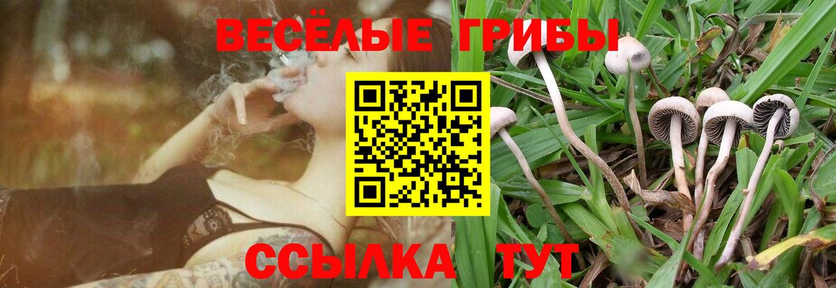 как найти наркотики  Вход с VPN  Киров  Галлюциногенные грибы GOLDEN TEACHER  Галлюциногенные грибы ЛСД 