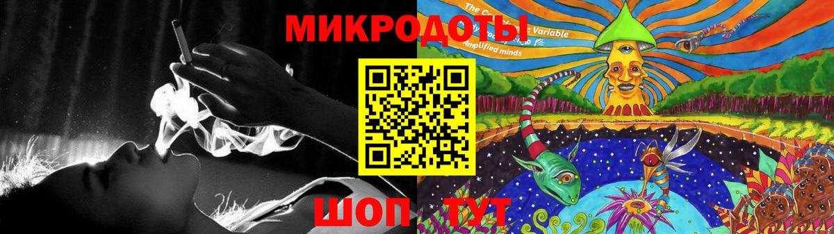 Псилоцибиновые грибы Psilocybine cubensis Киров